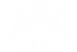 logo-white
